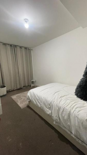 Spacious Room In Central